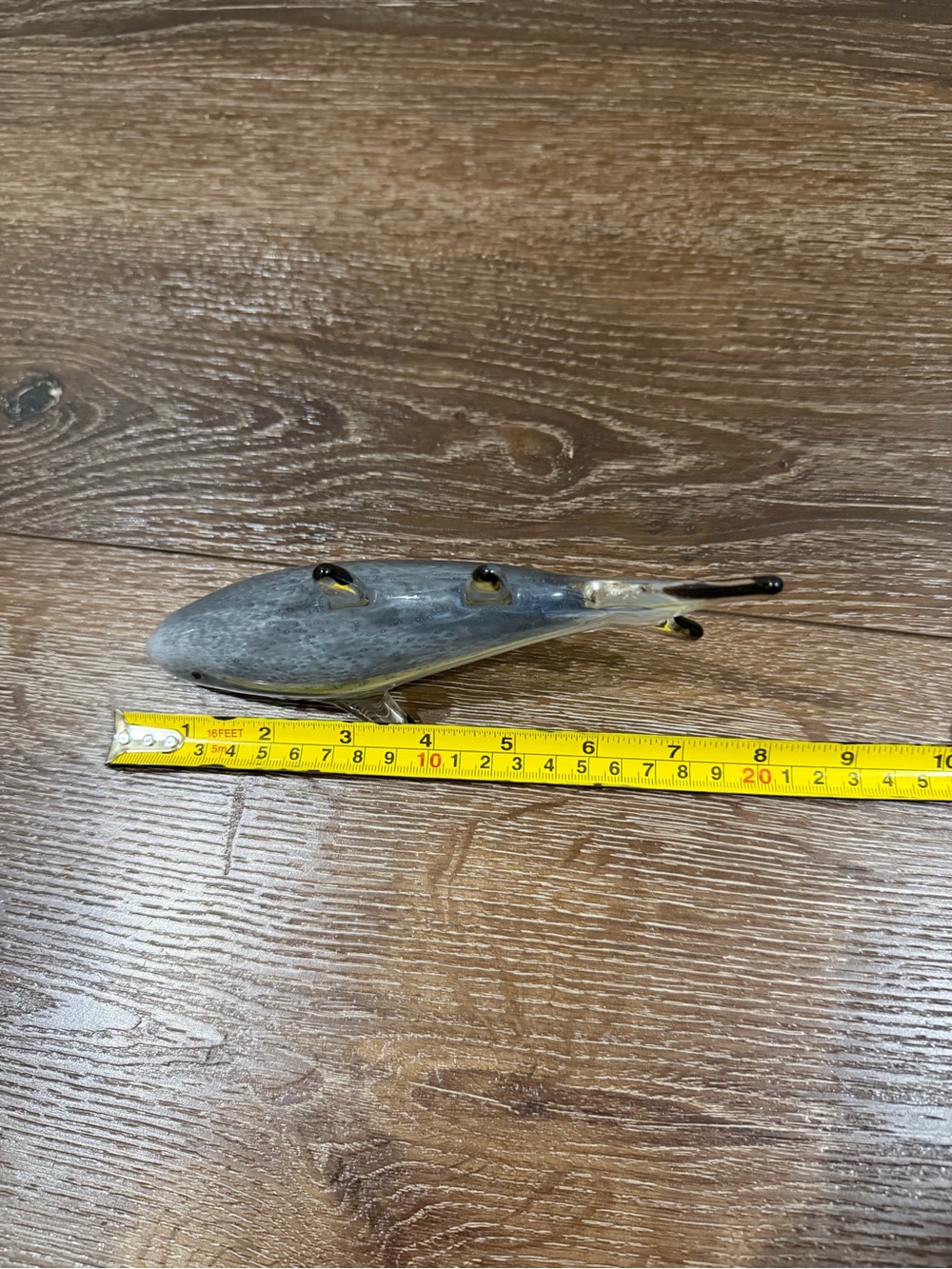 Dynasty gallery shark glass - Picture 6 of 10